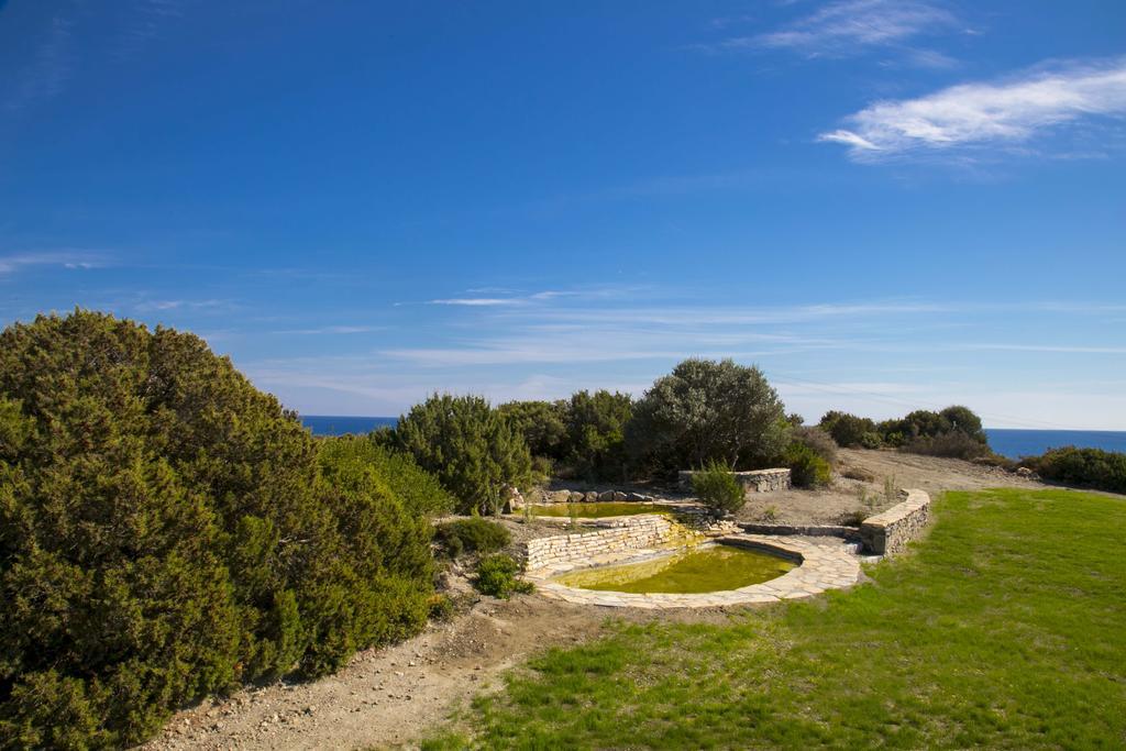 Ekaterini Hotel Kiotari Bagian luar foto